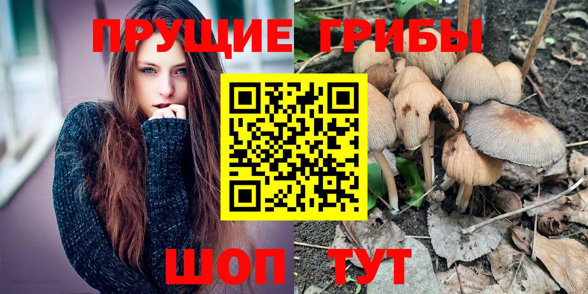 Галлюциногенные грибы GOLDEN TEACHER Петрозаводск