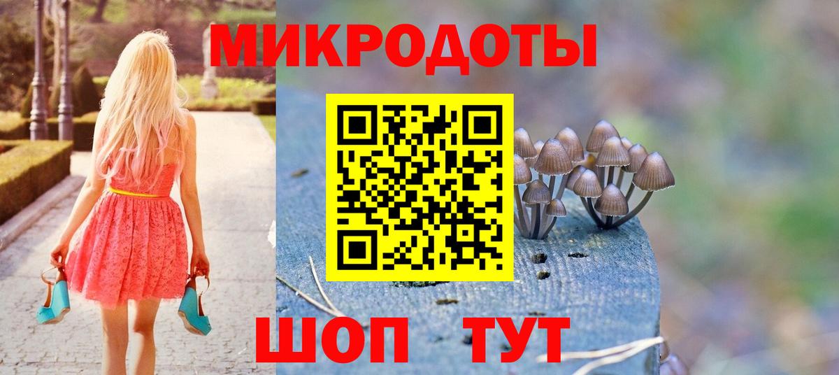 Петрозаводск  Галлюциногенные грибы Psilocybe  Вход с VPN 