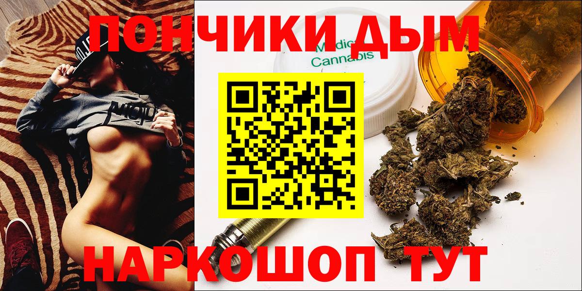 Каннабис сатива Петрозаводск